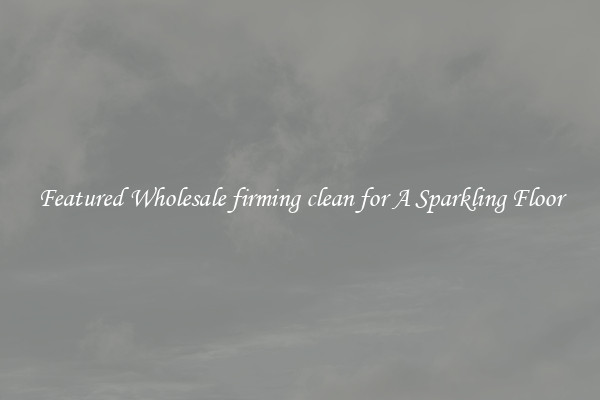 Featured Wholesale firming clean for A Sparkling Floor