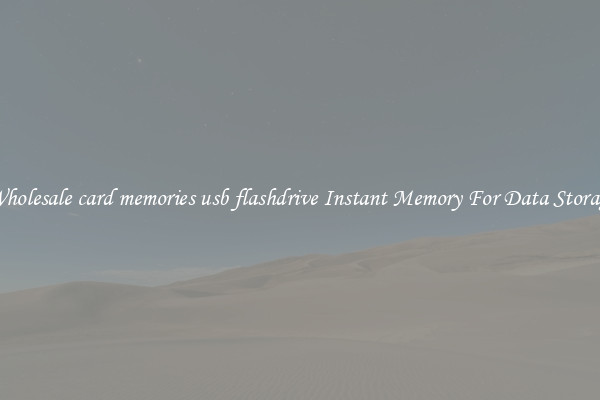 Wholesale card memories usb flashdrive Instant Memory For Data Storage