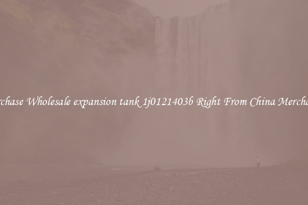 Purchase Wholesale expansion tank 1j0121403b Right From China Merchants