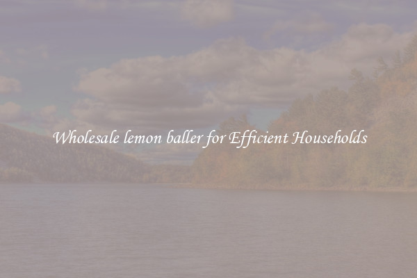 Wholesale lemon baller for Efficient Households