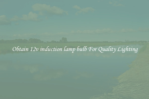 Obtain 12v induction lamp bulb For Quality Lighting
