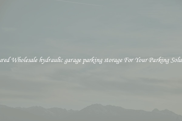 Featured Wholesale hydraulic garage parking storage For Your Parking Solutions 