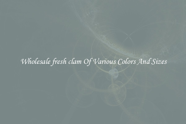 Wholesale fresh clam Of Various Colors And Sizes