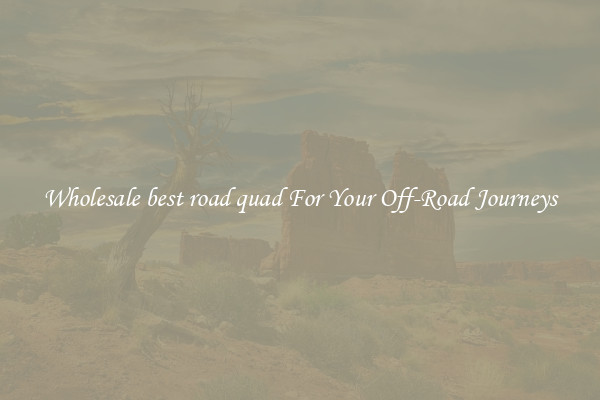Wholesale best road quad For Your Off-Road Journeys