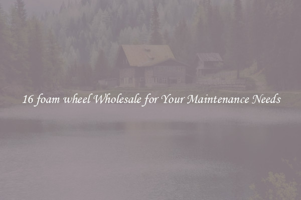 16 foam wheel Wholesale for Your Maintenance Needs