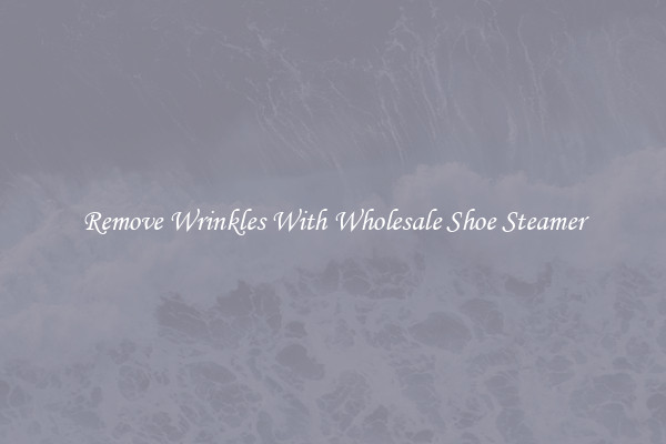 Remove Wrinkles With Wholesale Shoe Steamer