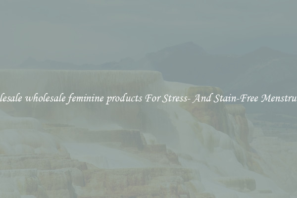 Wholesale wholesale feminine products For Stress- And Stain-Free Menstruation
