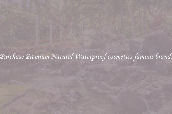 Purchase Premium Natural Waterproof cosmetics famous brands