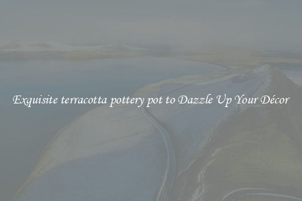 Exquisite terracotta pottery pot to Dazzle Up Your Décor 