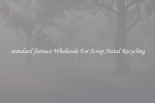 standard furnace Wholesale For Scrap Metal Recycling