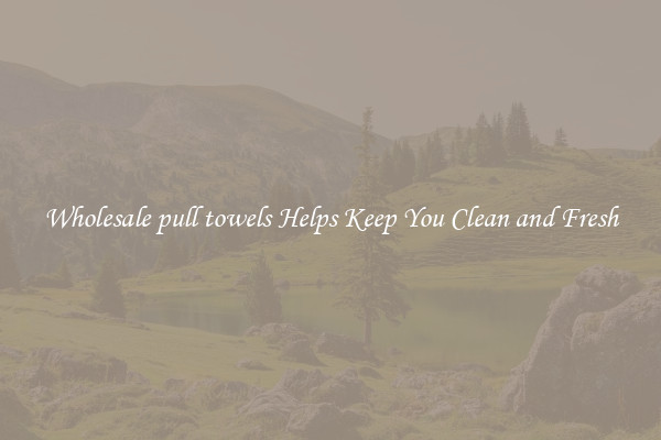 Wholesale pull towels Helps Keep You Clean and Fresh