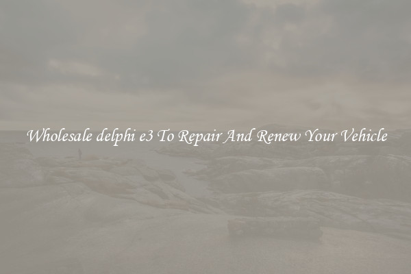 Wholesale delphi e3 To Repair And Renew Your Vehicle